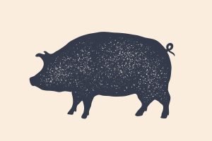 Read more about the article Pig Butchering Scams